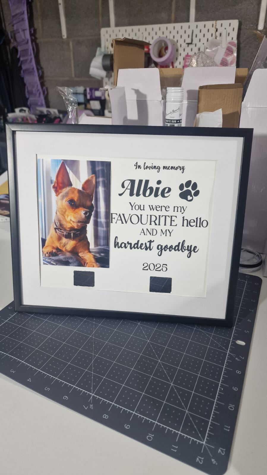 Pet collar frame