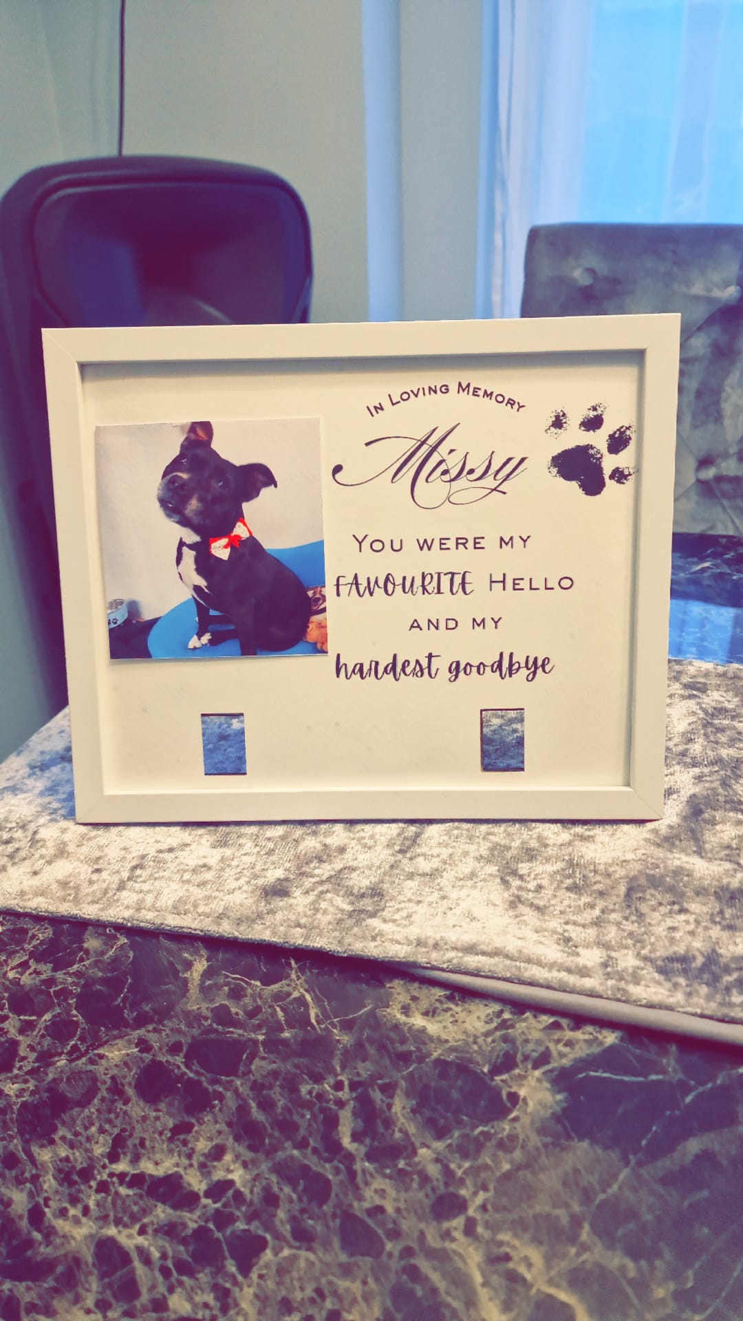 Pet collar frame