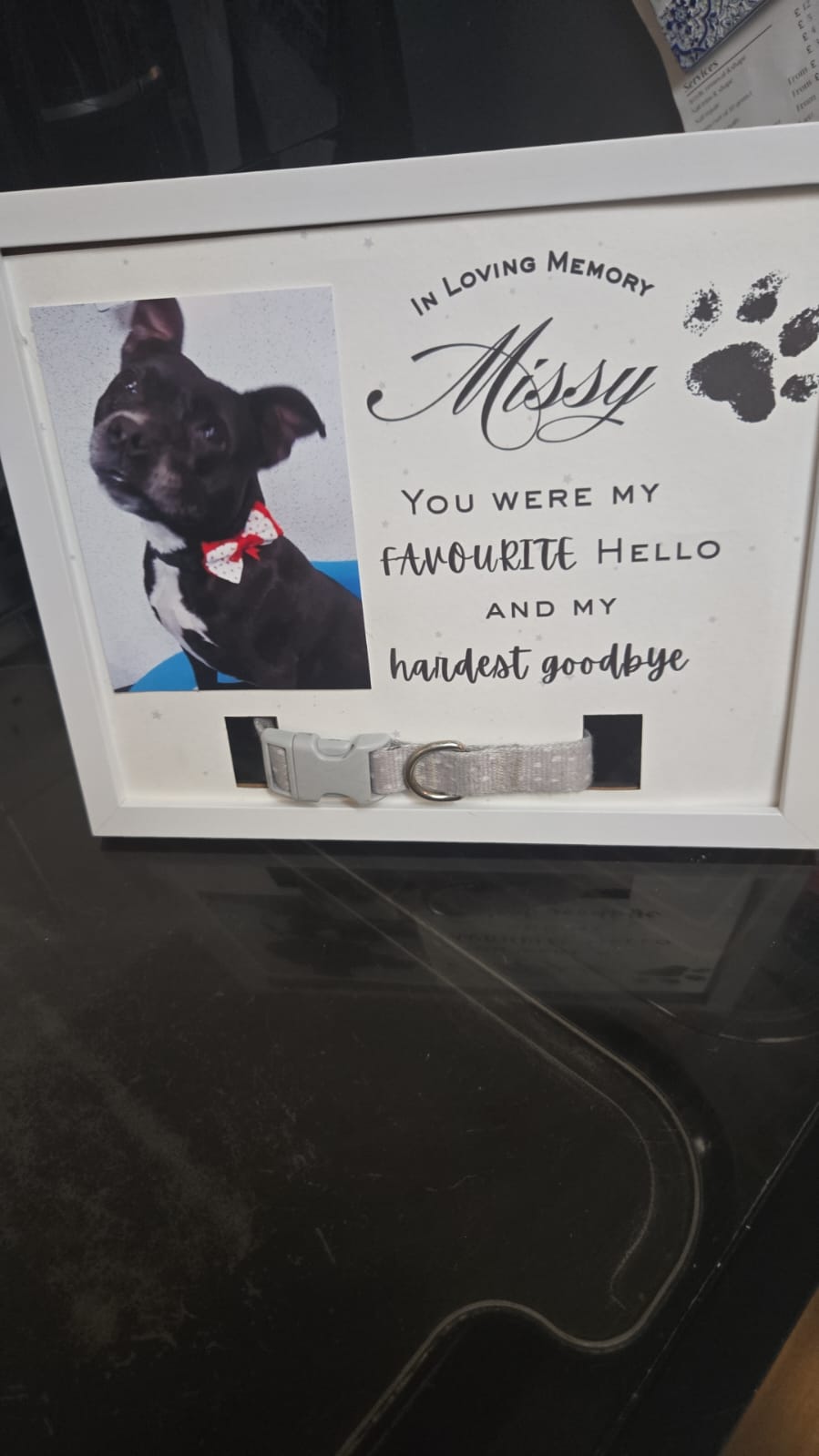 Pet collar frame