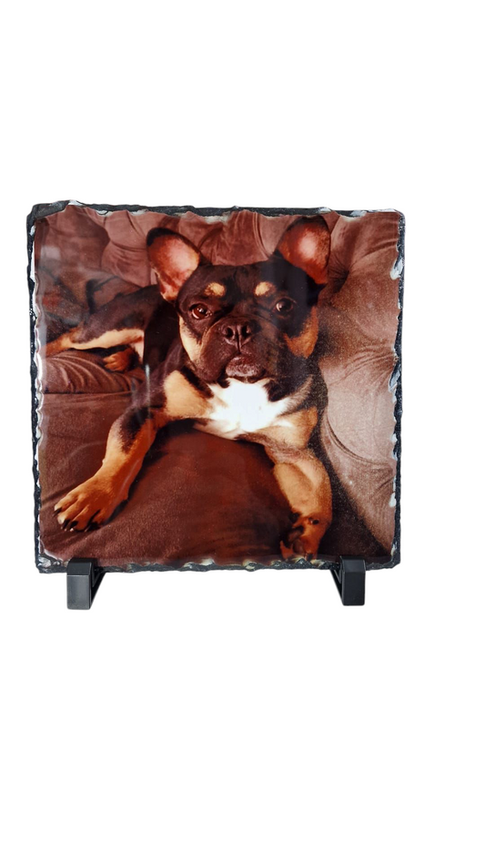 Pet personalised photo slate