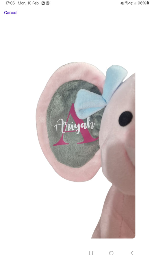 Keepsake plush