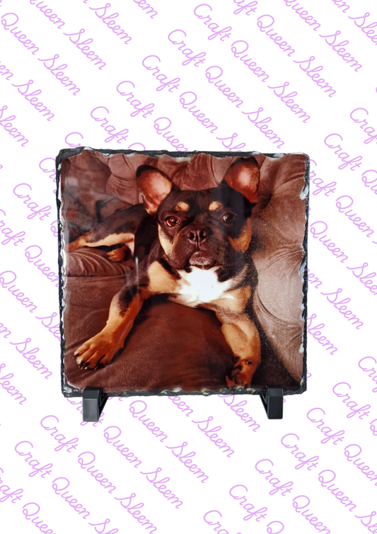 Pet Personalised Photo Slate - Heart Square Circle
