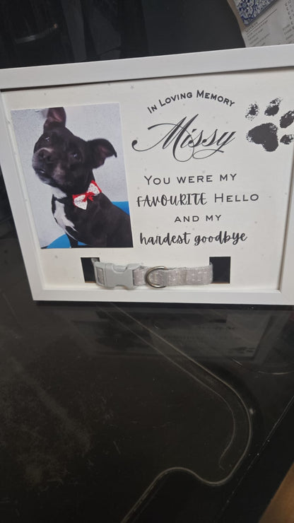 Pet Dog Cat Memorial Collar Frame - Keepsake Fury Friend