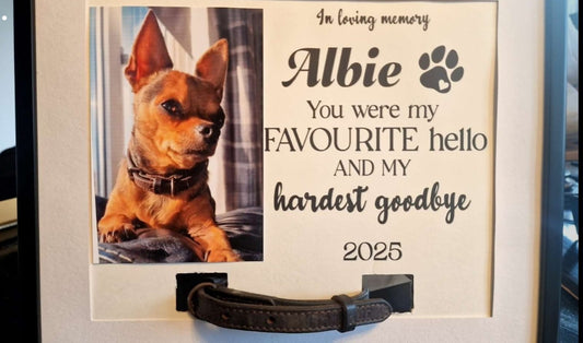 Pet collar frame